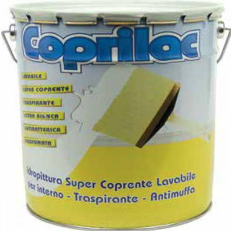 CASASANA IDROPITTURA MURALE LAVABILE ANTIBATTERICA